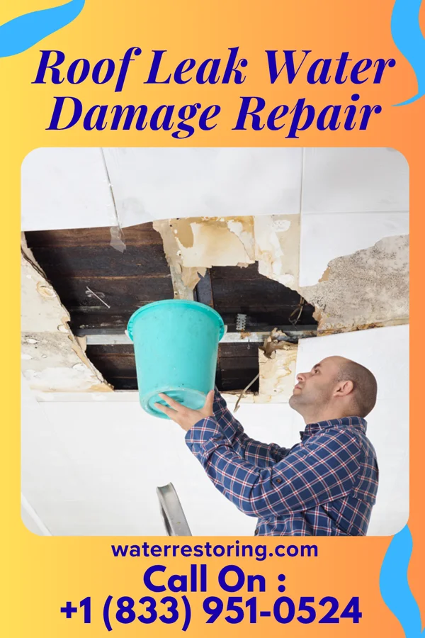 Roof Leak Water Damage Repair in Foreston, MN