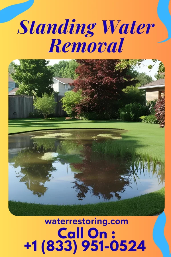 Standing Water Removal in Foreston, MN